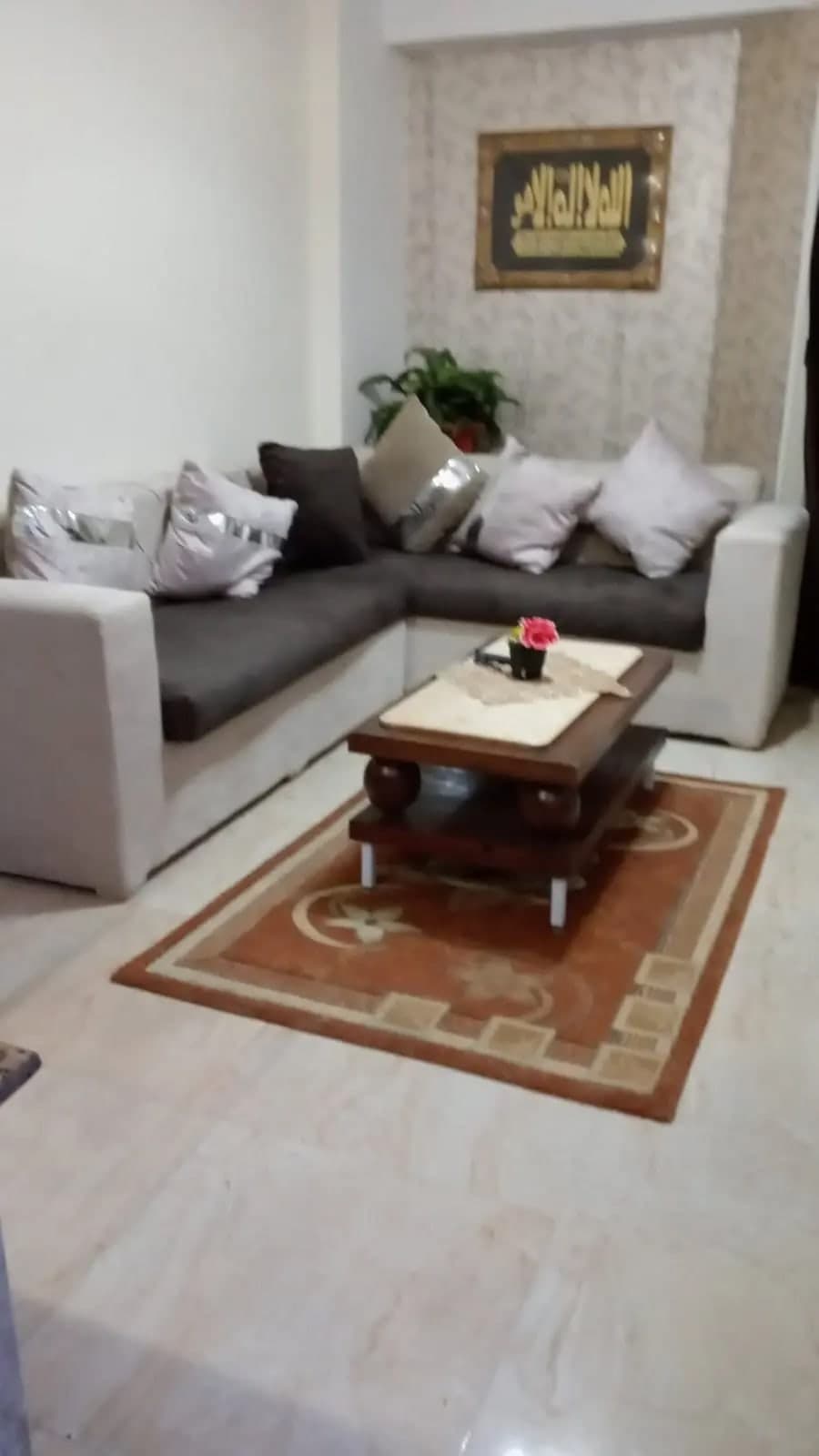 شقة في العين السخنة