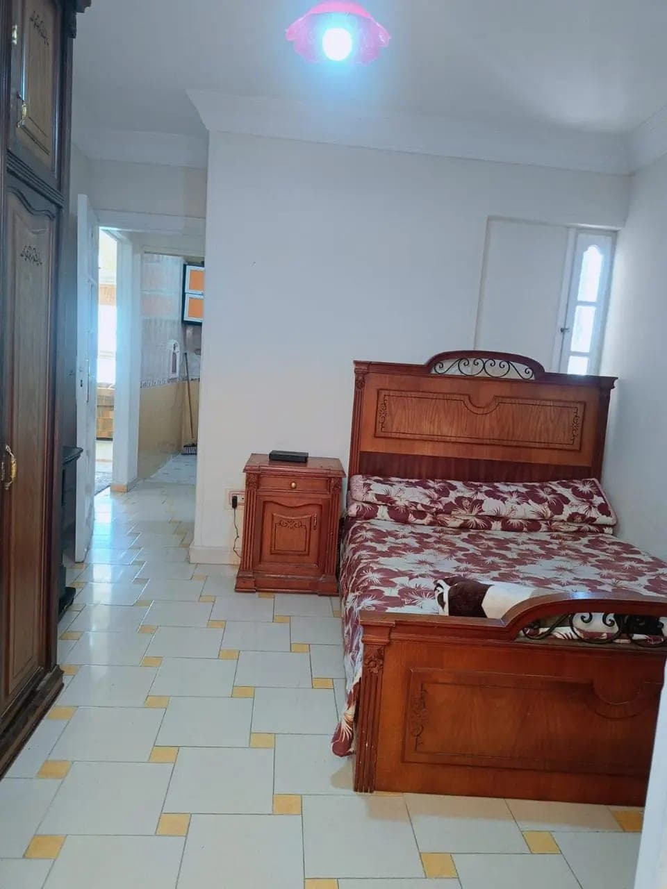 Apartment in Alexandria