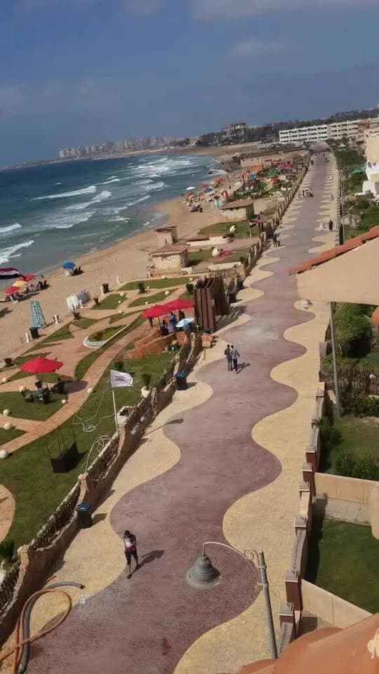 Apartment in Alexandria