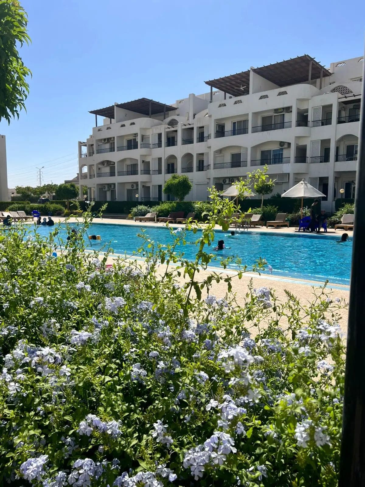 شاليه في العين السخنة