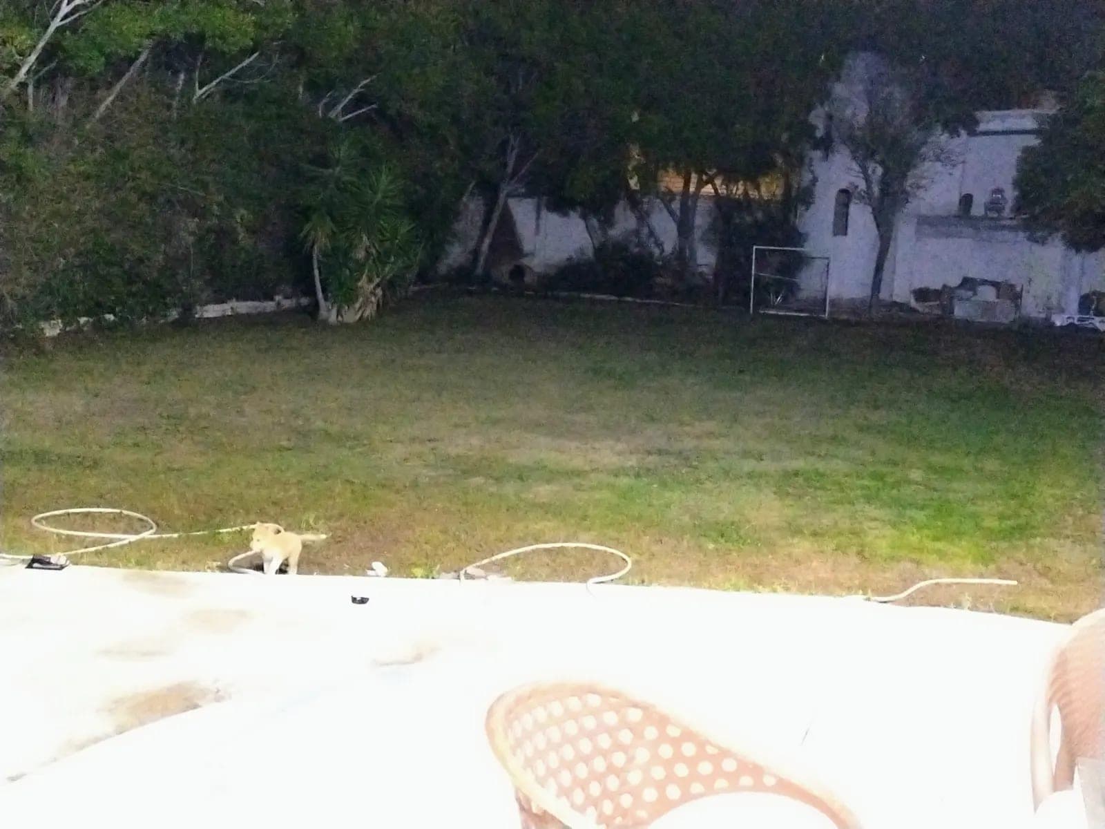 فيلا في الساحل الشمالي