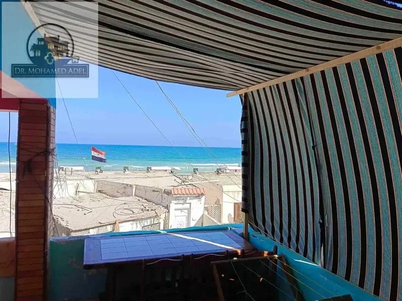 شقة في الإسكندرية