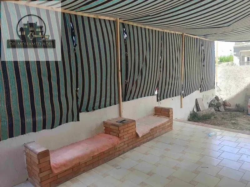 شقة في الإسكندرية