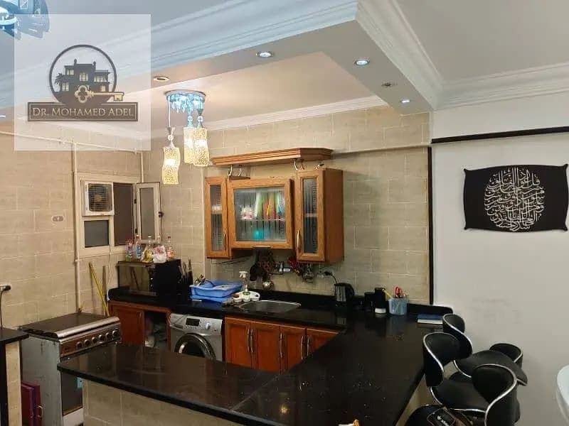 شقة في الإسكندرية