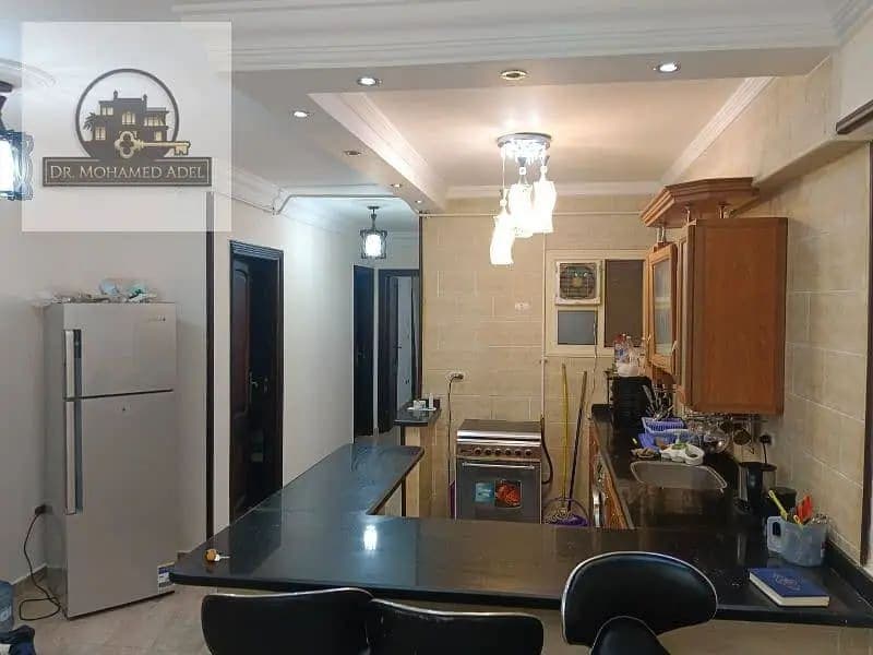 شقة في الإسكندرية