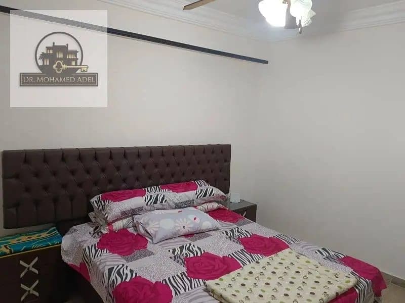 شقة في الإسكندرية