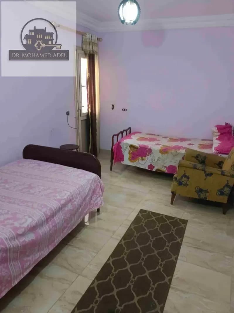 شقة في الإسكندرية