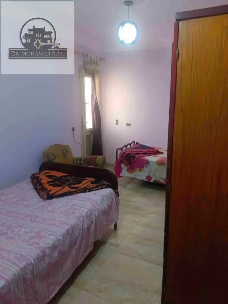 شقة في الإسكندرية