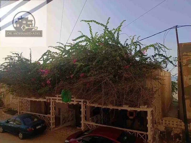 شقة في الإسكندرية