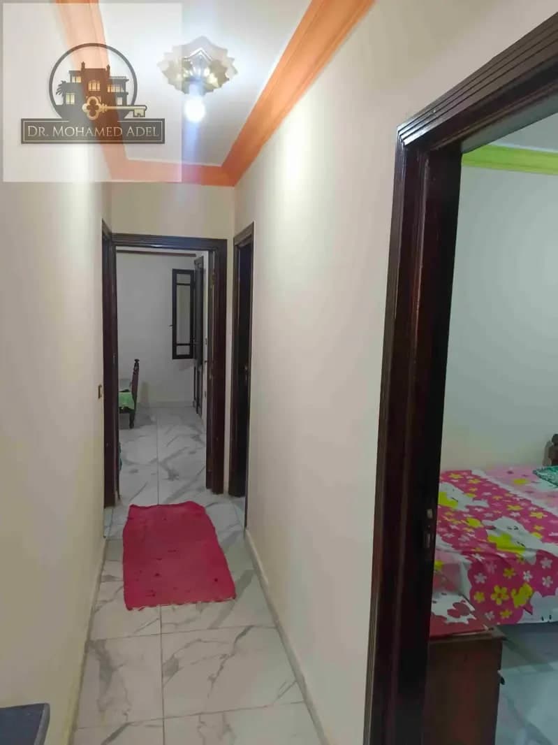 شقة في الإسكندرية
