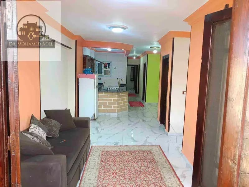 شقة في الإسكندرية