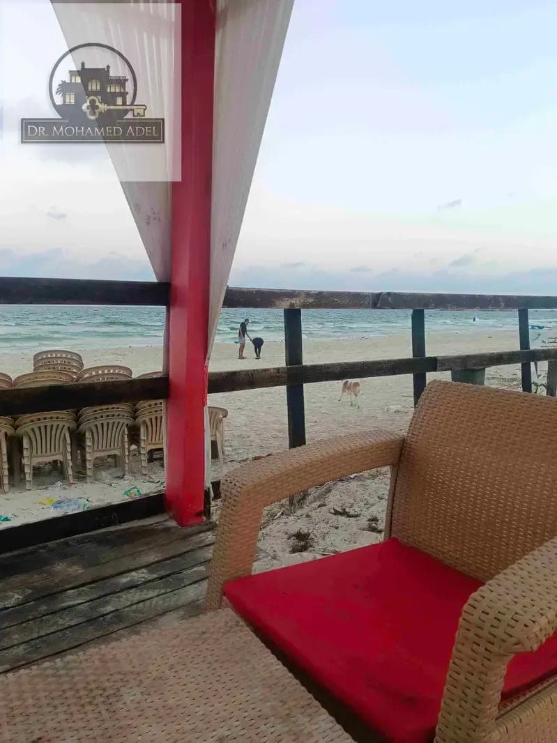 شقة في الإسكندرية