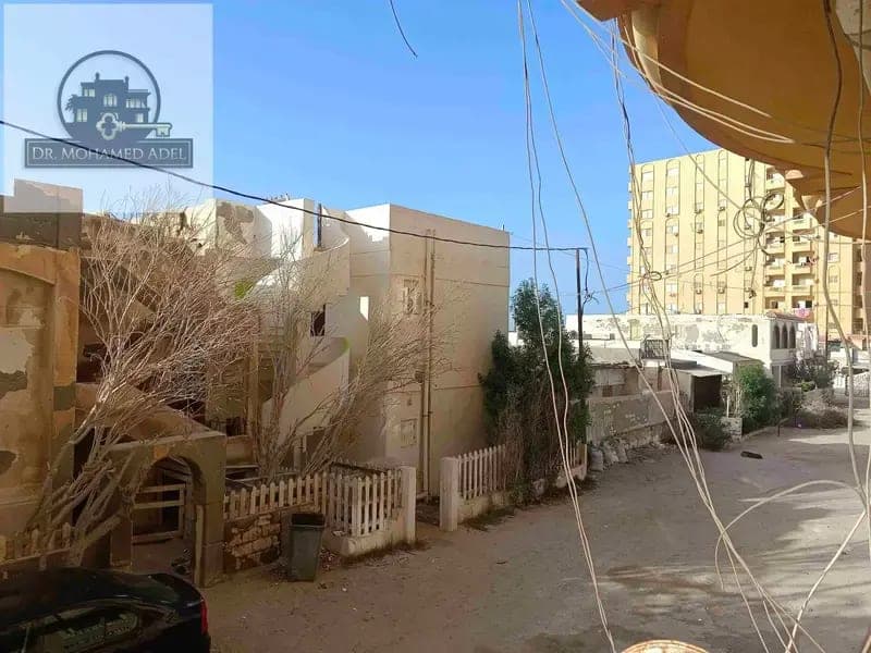 شقة في الإسكندرية