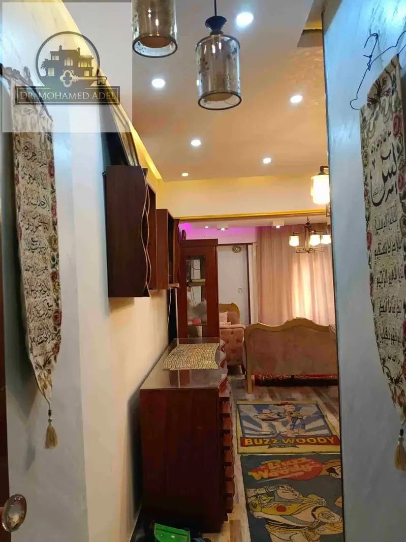 شقة في الإسكندرية