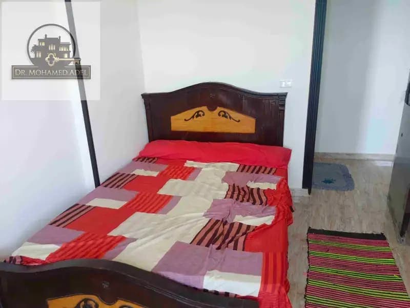 شقة في الإسكندرية