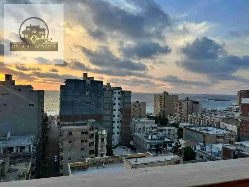 Apartment in Alexandria