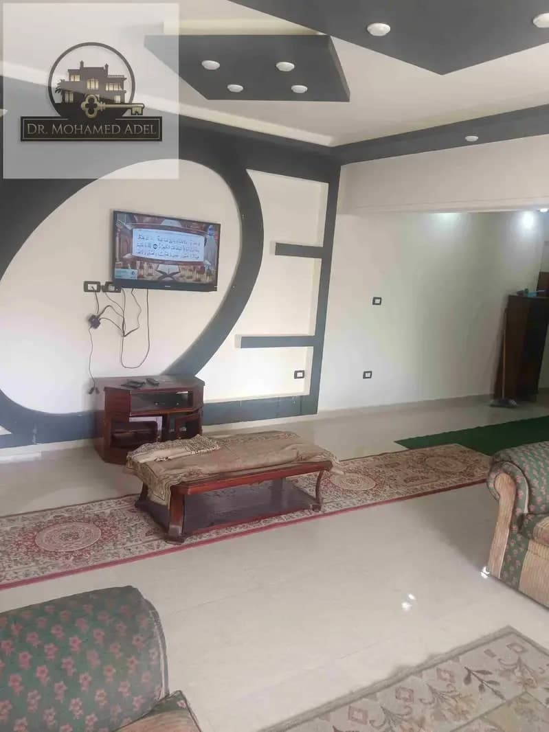 شقة في الإسكندرية