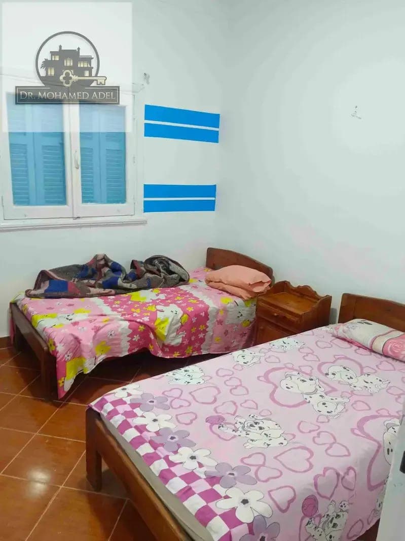 شقة في الإسكندرية