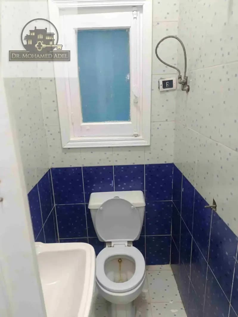 شقة في الإسكندرية