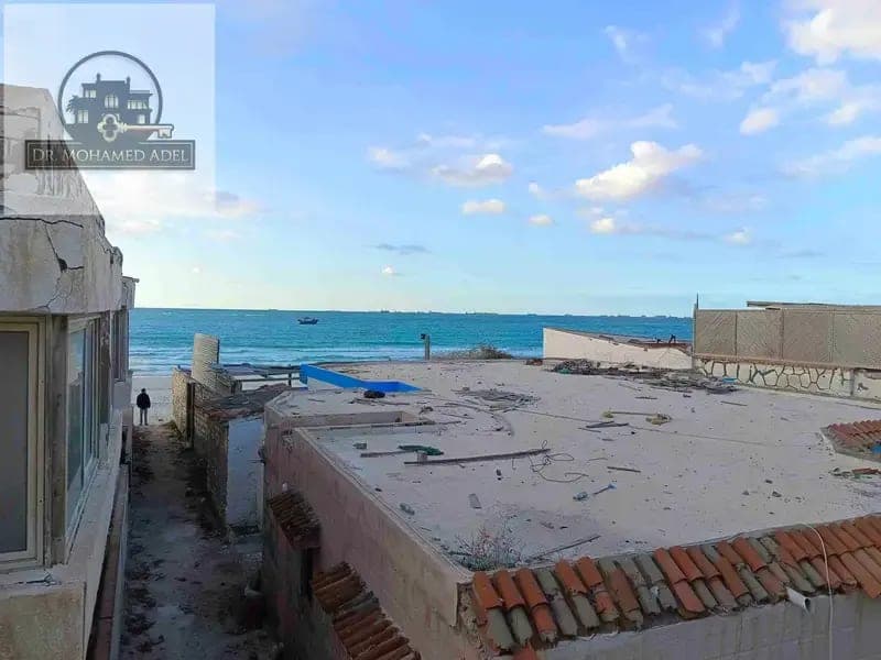 شقة في الإسكندرية
