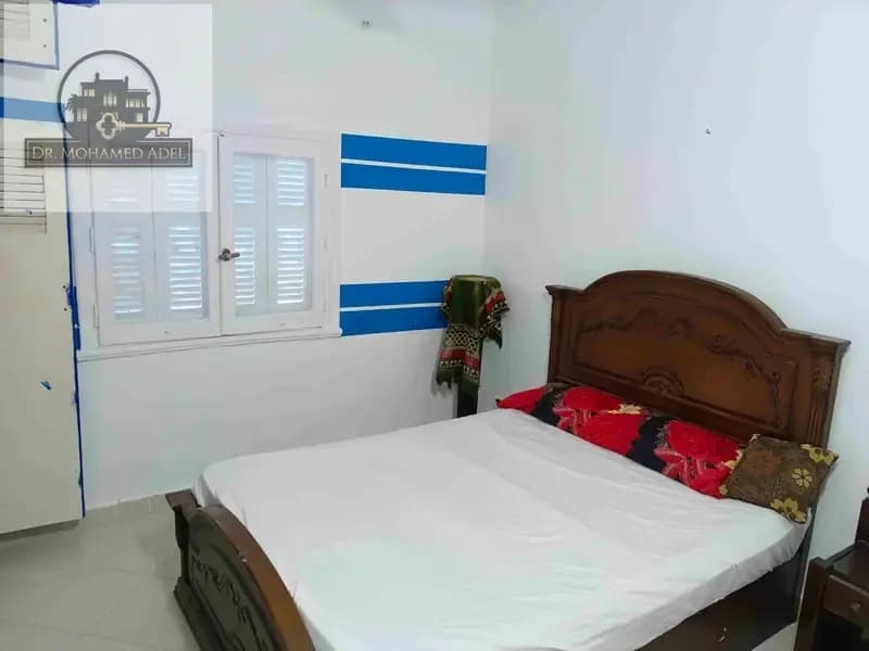 شقة في الإسكندرية