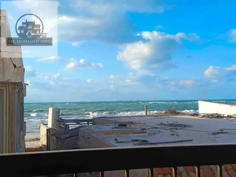 شقة في الإسكندرية