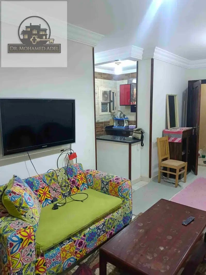 Apartment in Alexandria