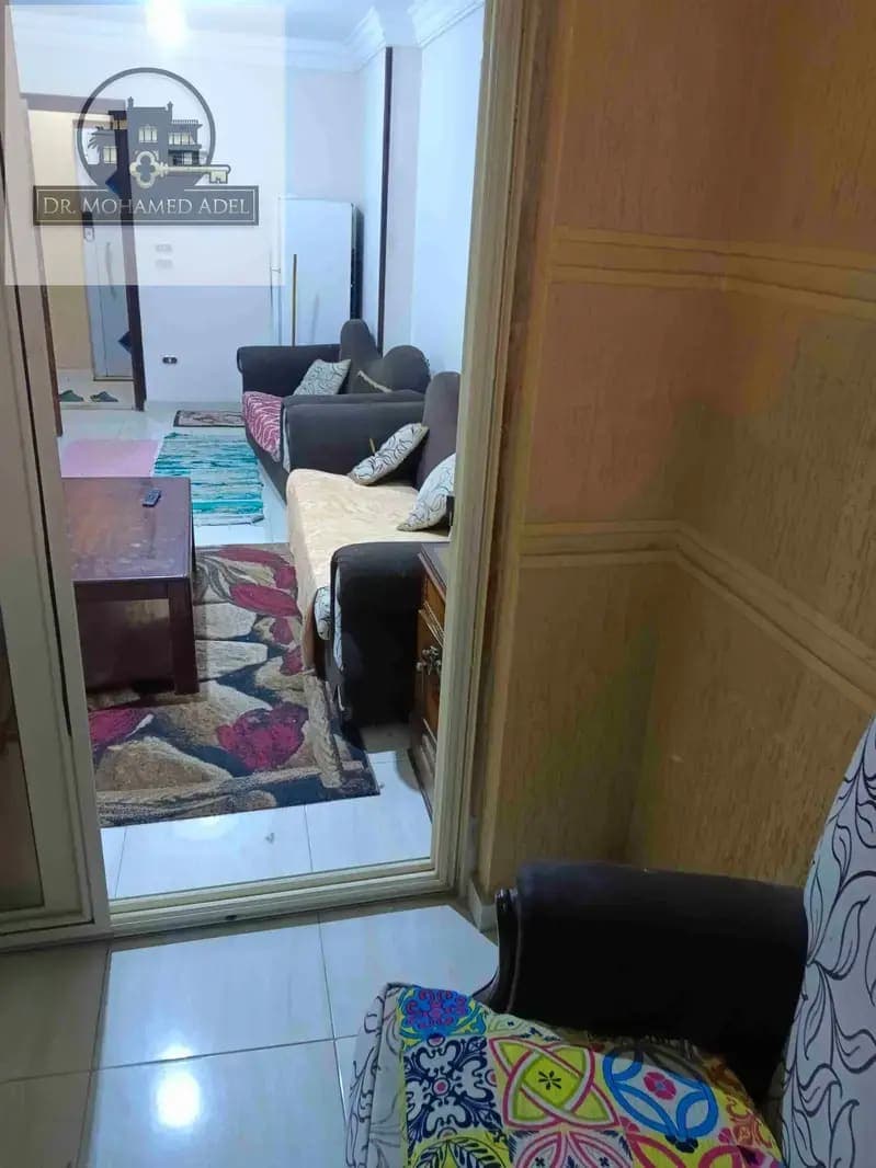 Apartment in Alexandria