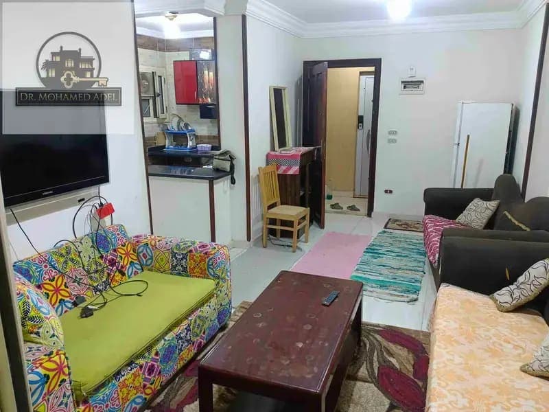 Apartment in Alexandria