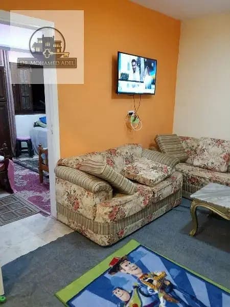 شقة في الإسكندرية