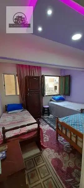 شقة في الإسكندرية