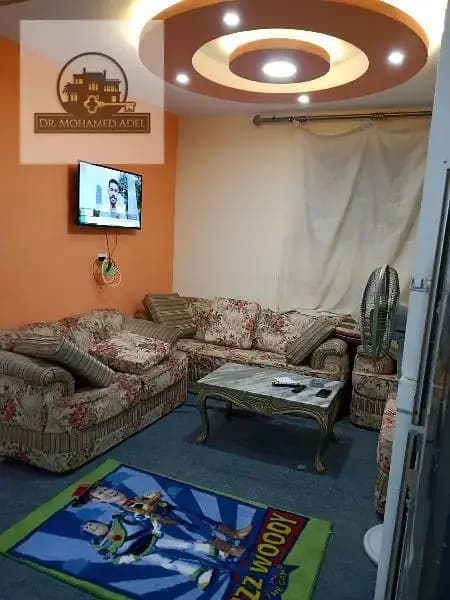 شقة في الإسكندرية