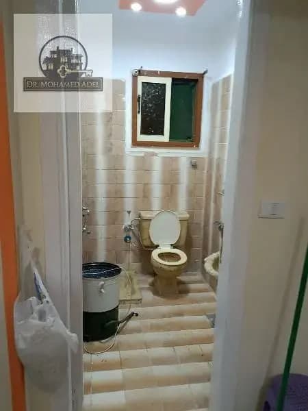 شقة في الإسكندرية