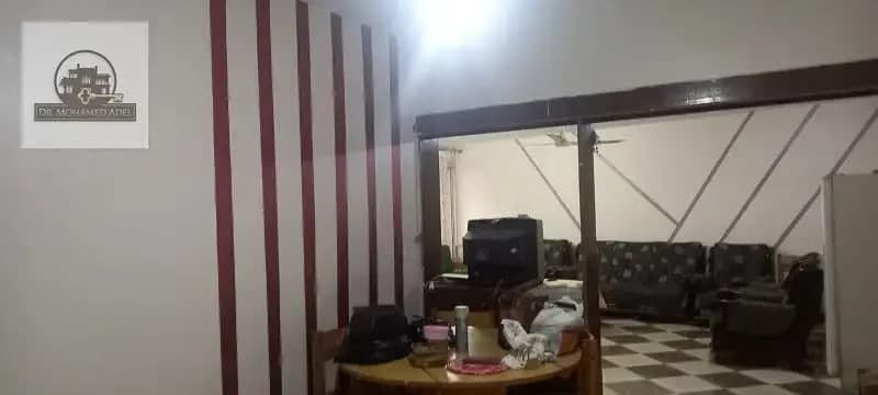 شقة في الإسكندرية