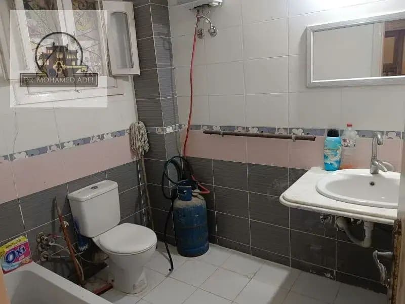 شقة في الإسكندرية