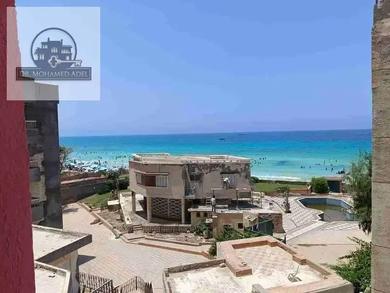 شقة في الإسكندرية