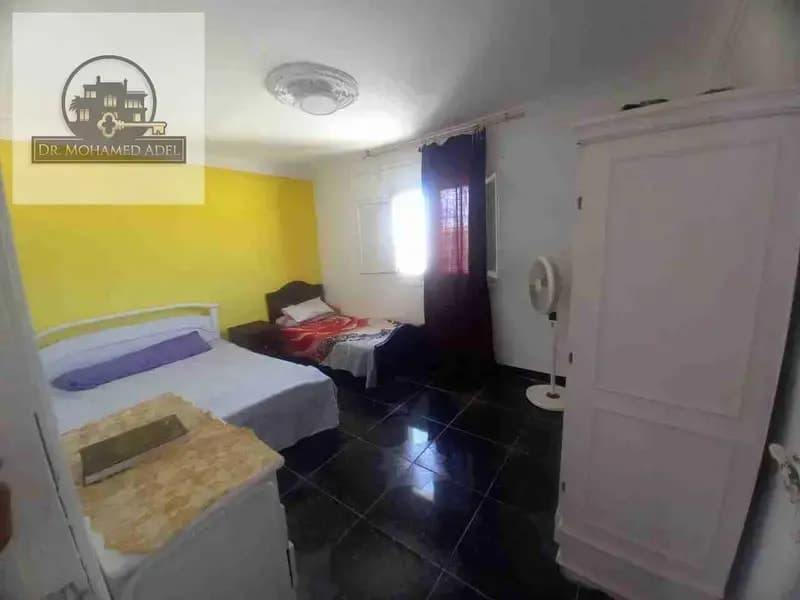 شقة في الإسكندرية