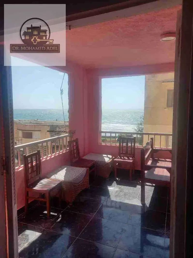 شقة في الإسكندرية