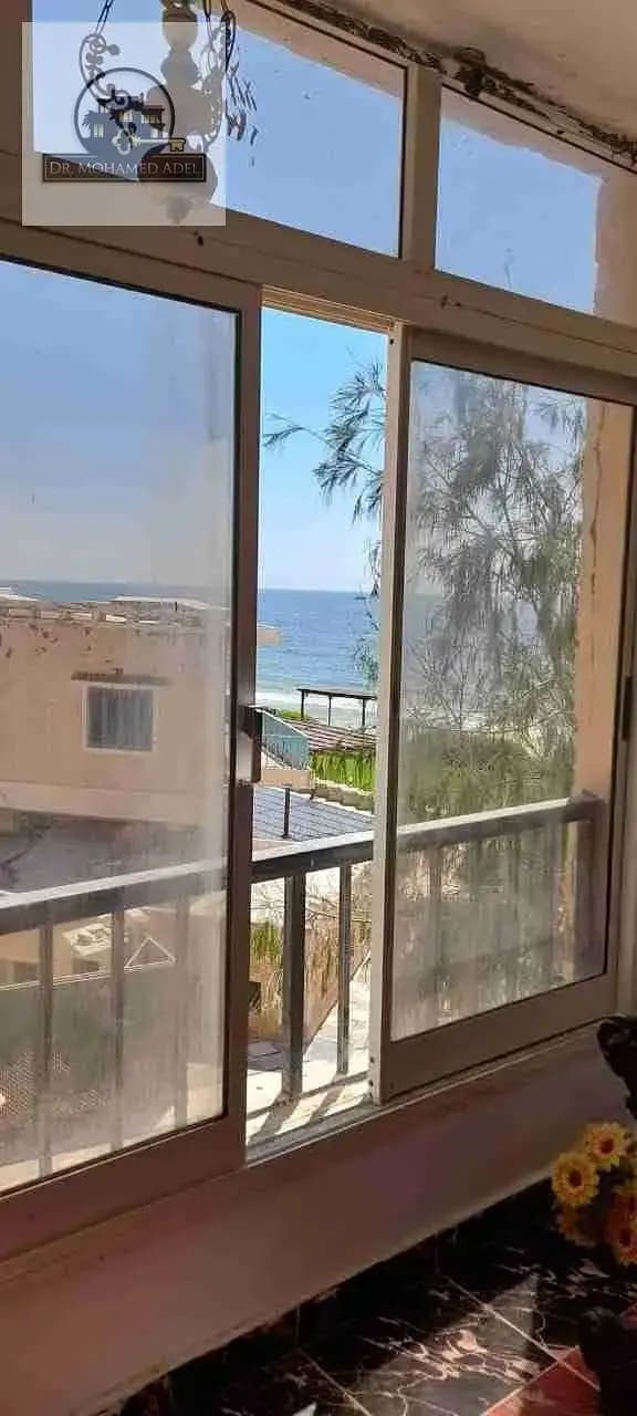 شقة في الإسكندرية