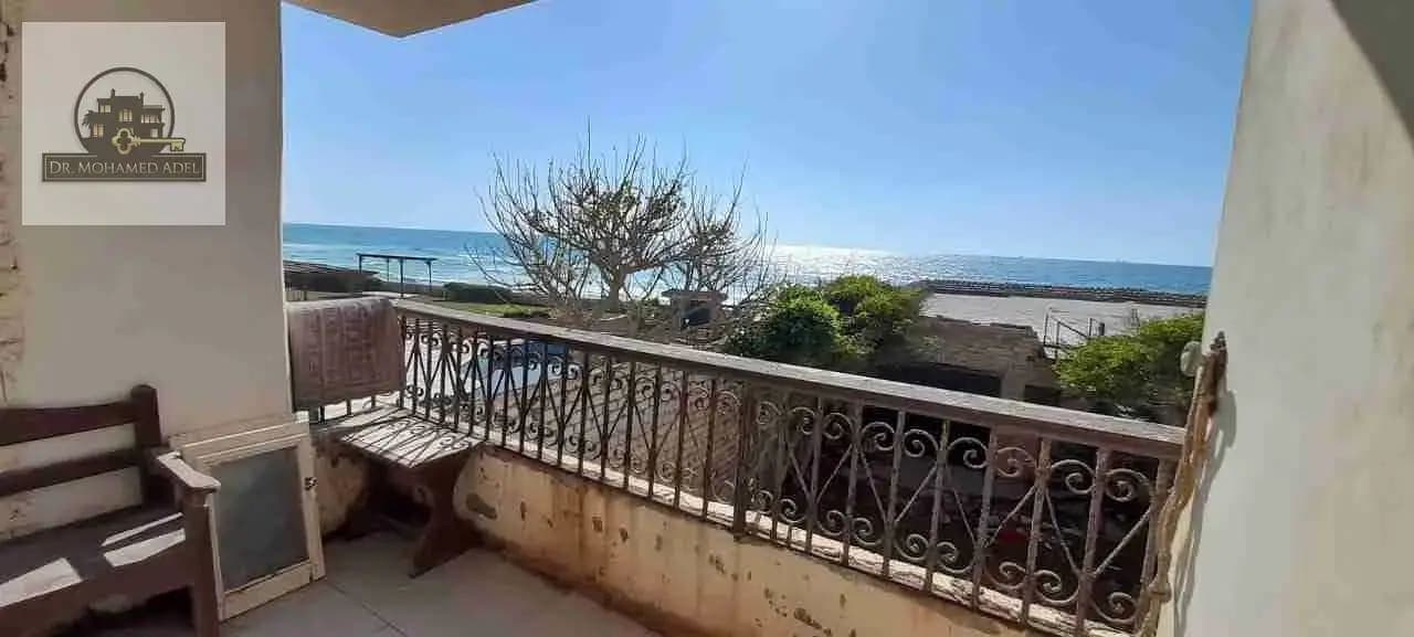 شقة في الإسكندرية