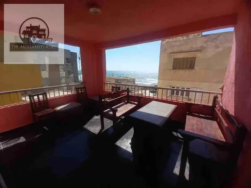 شقة في الإسكندرية