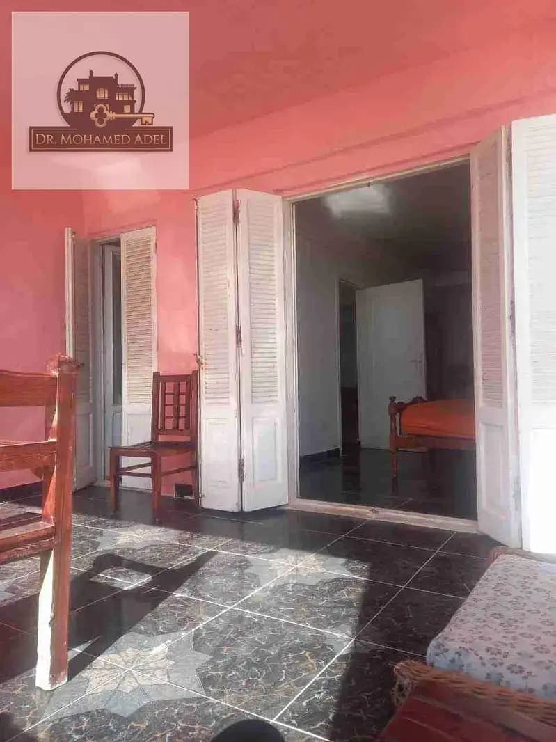شقة في الإسكندرية