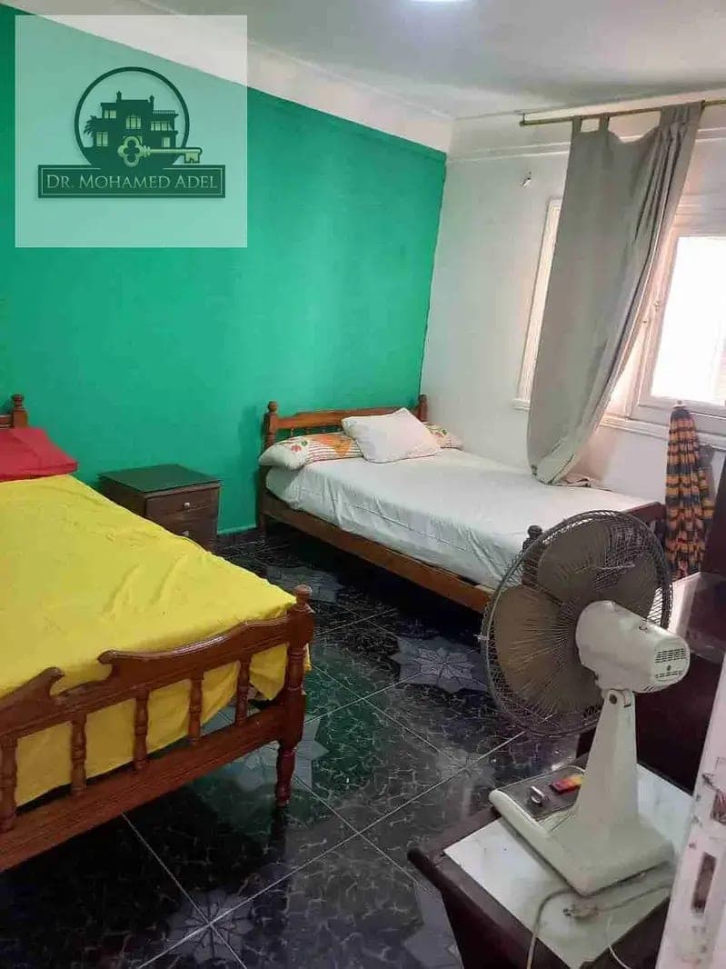 شقة في الإسكندرية