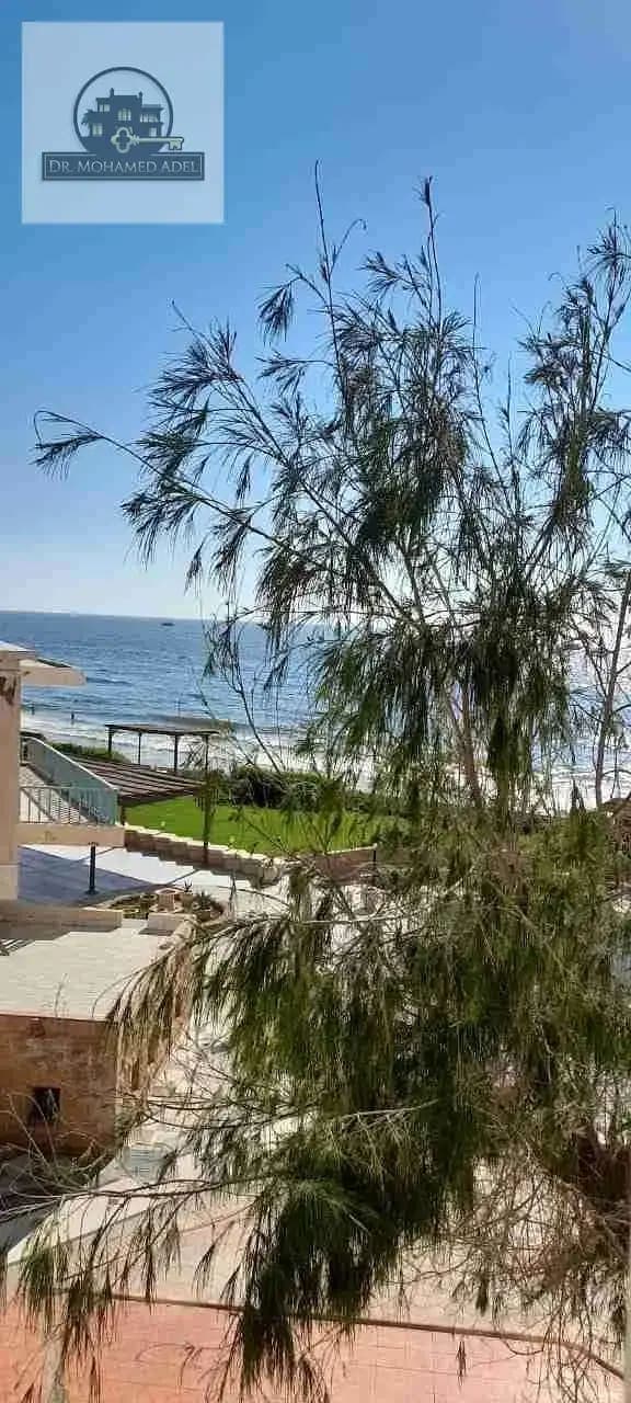 شقة في الإسكندرية