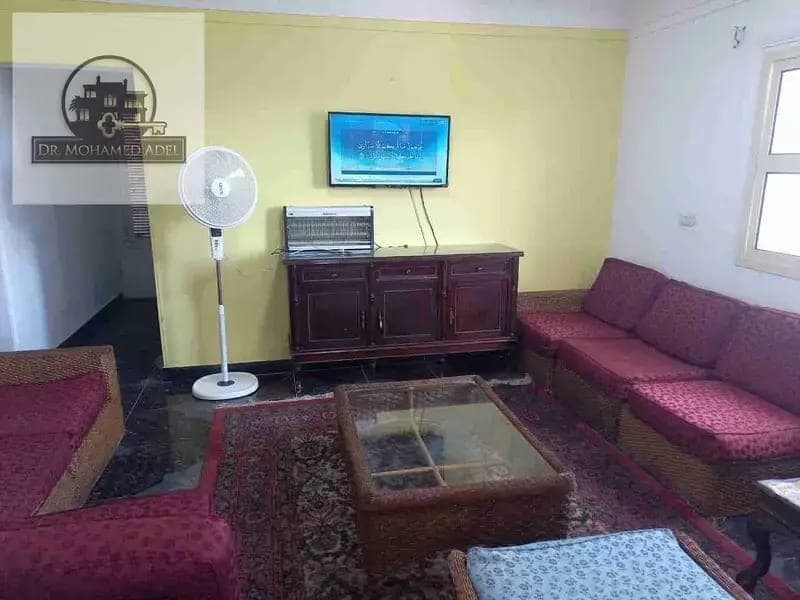 شقة في الإسكندرية