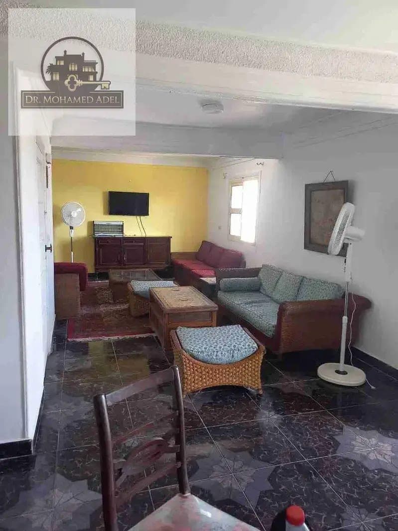 شقة في الإسكندرية