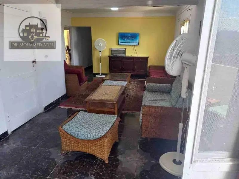 شقة في الإسكندرية
