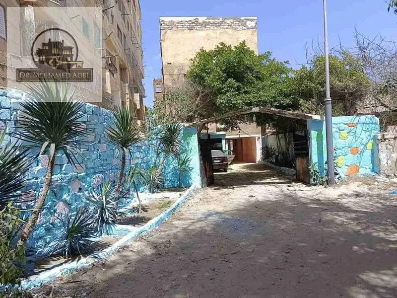 شقة في الإسكندرية