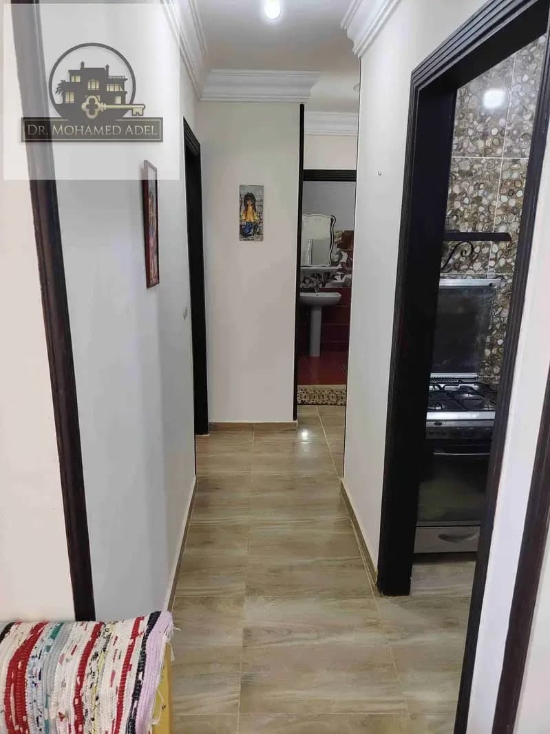 شقة في الإسكندرية