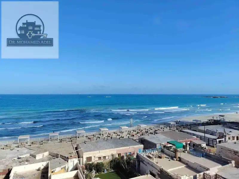 شقة في الإسكندرية